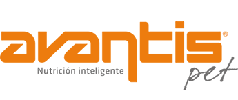logo-avantis-pet-1